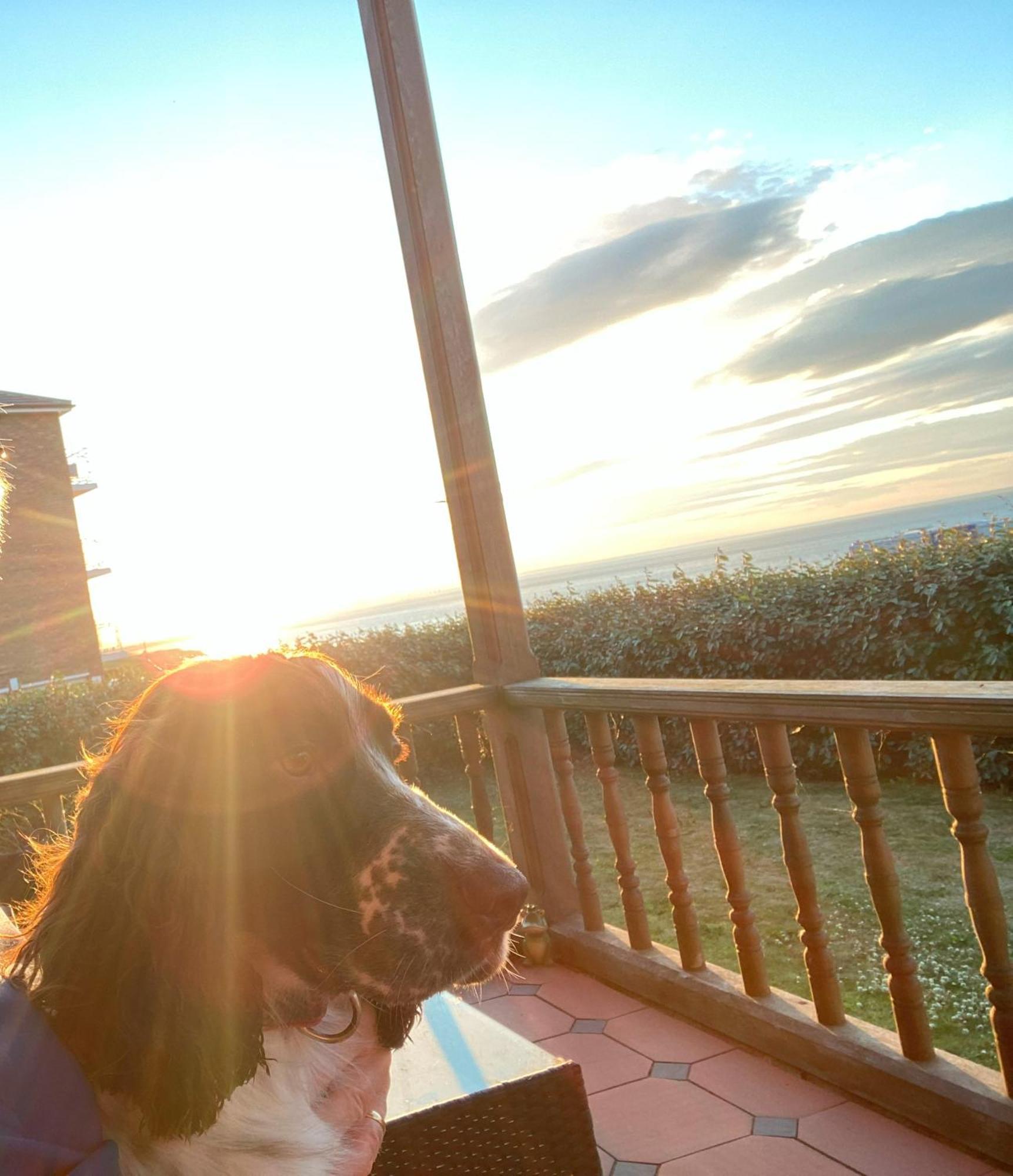 Sea Forever Oceanfront Home Perfectly Saltburn Ngoại thất bức ảnh